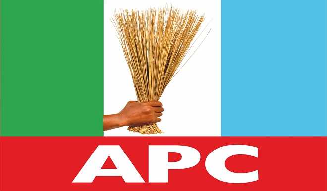 APC planted moles to cause crisis in Labour Party – Youth Leader