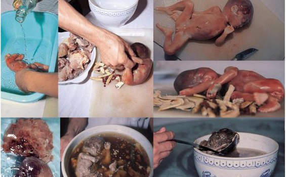 Chinese drugs containing human foetuses, HBV in circulation