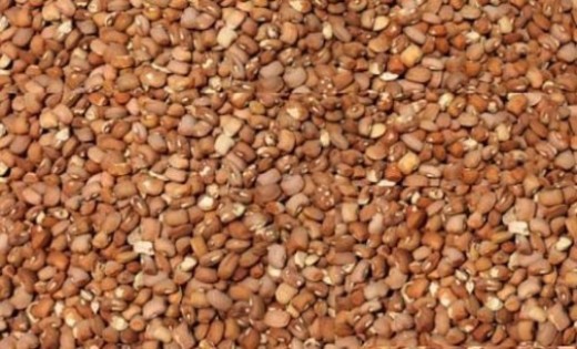 CPC warns Nigerians of poisoned beans in circulation