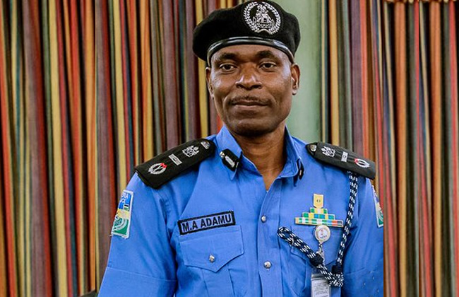 Police to start using taser, stun guns for low-risk operations – IGP