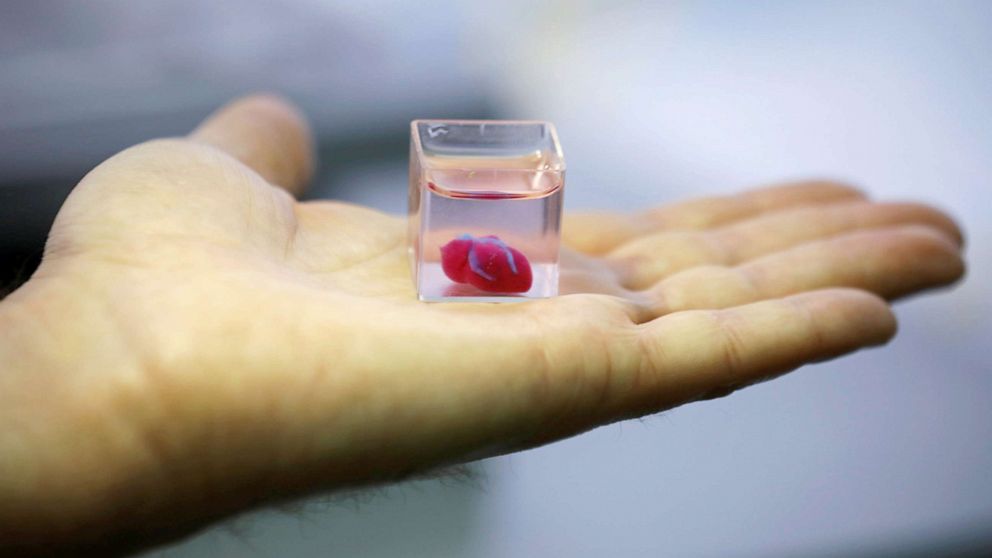 First of it’s kind: Israeli scientists make 3D print of the heart