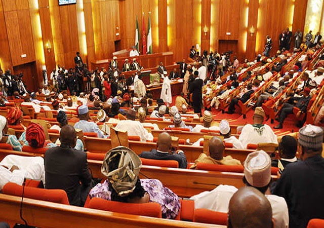 Why we can’t initiate death penalty bill for looters — Senate