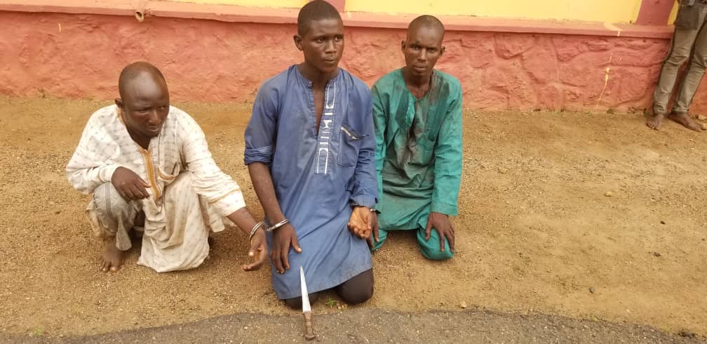 Police arrest three herdsmen for killing farmer in Ogun State       