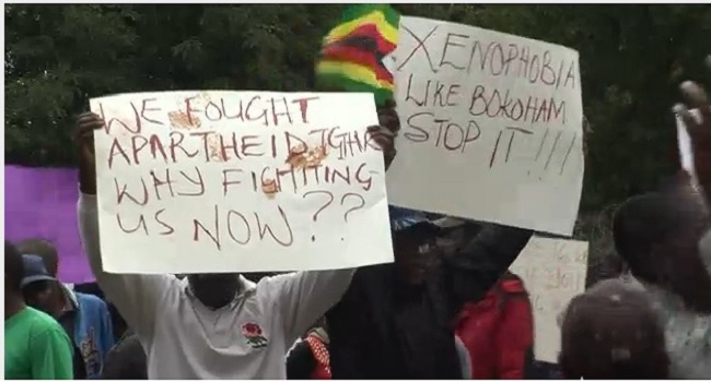 My govt probing xenophobic attacks on Nigeria – SA Envoy 