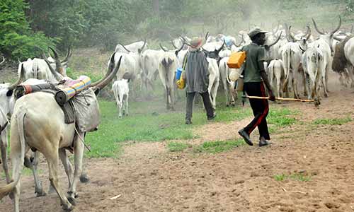 Suspected herdsmen kidnap son of proprietor, Lafia Hospital, two others   
