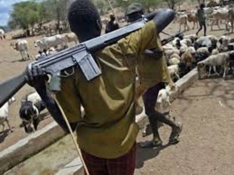 Delta communities lament taking of farmlands, killings, raping by Fulani herdsmen