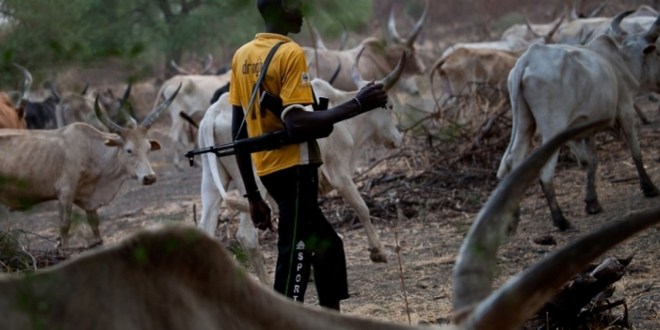 Herdsmen carry rifles in Anambra while police look on – Ohaneze