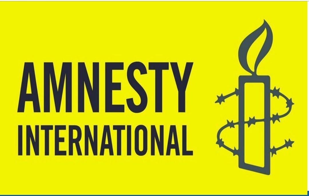 Protesters demand rights group, Amnesty International leave Nigeria