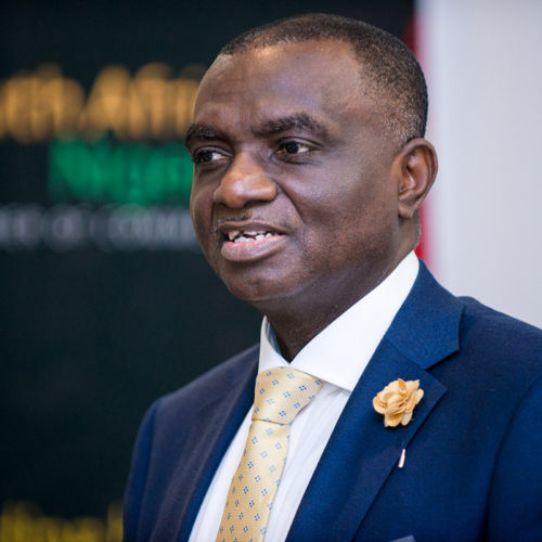 No Nigerian died in fresh xenophobic attack – Consul General