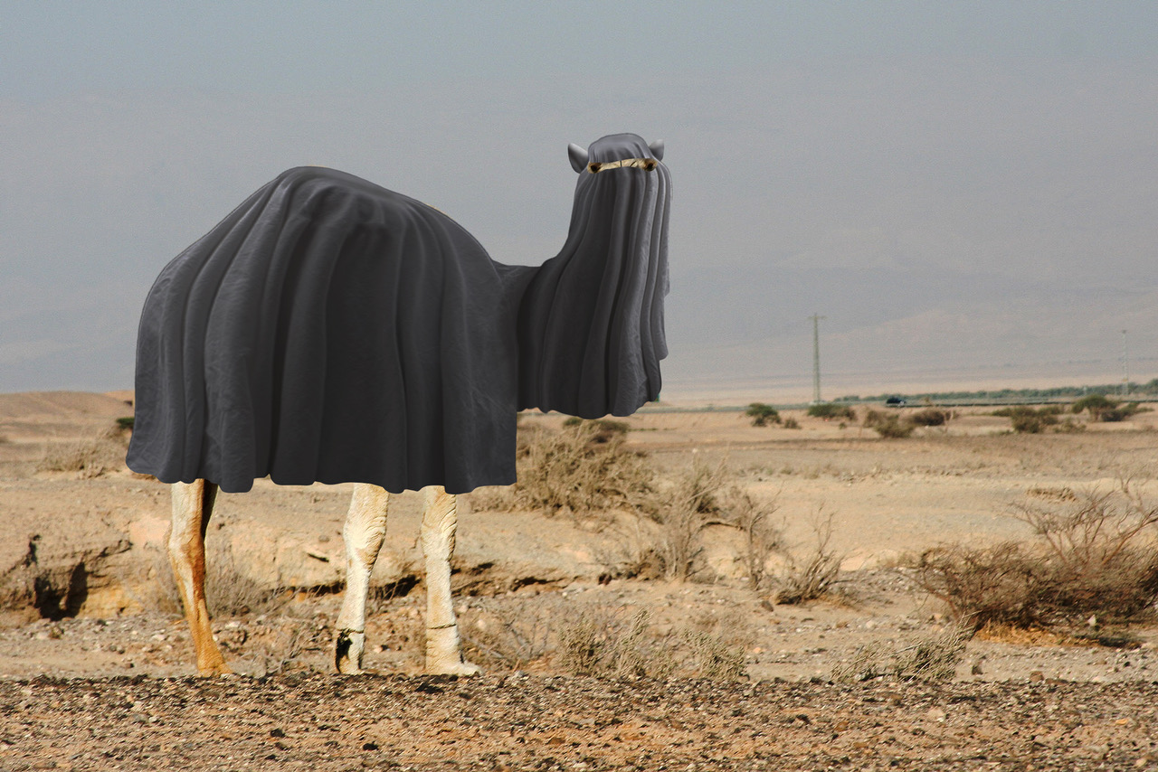 New ISIS rules require female animals to wear burka