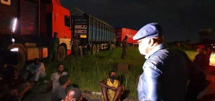 Wike orders auction of cattle for breach of lockdown