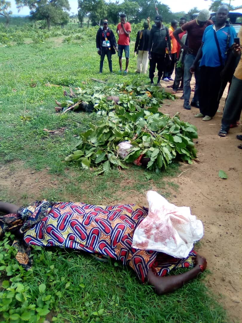 Gunmen kill nine in fresh Kaduna village attack