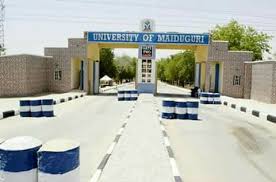 Group kicks against FG’s approval for N64bn UNIMAID fence