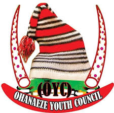 Ohanaeze insists PDP must zone presidency to S/East in 2023