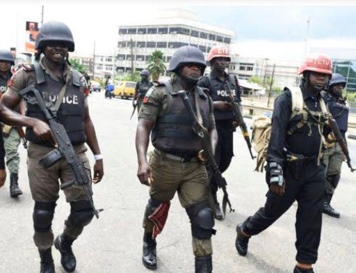 Revealed! SWAT has always been operational in Nigeria