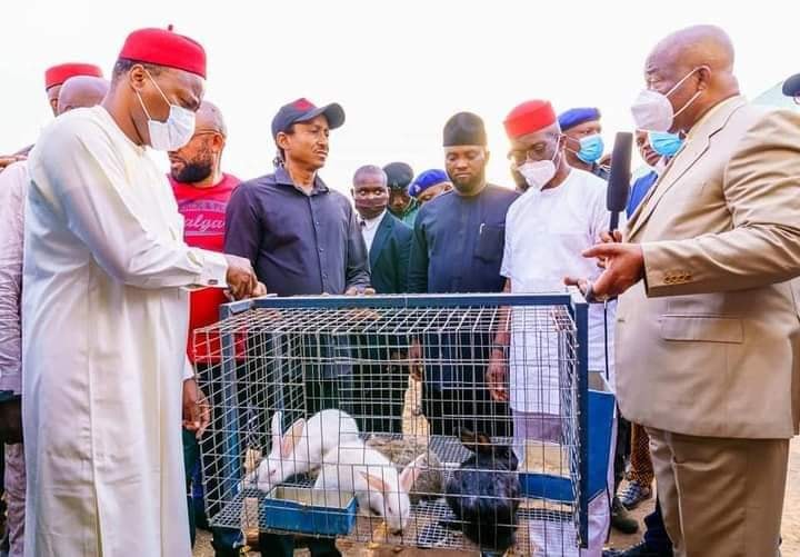 Uzodinma empowers Imo people with rabbits