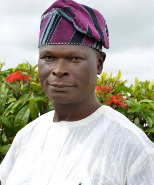 Sade Ale, wife of Akeredolu’s chief of staff regains freedom