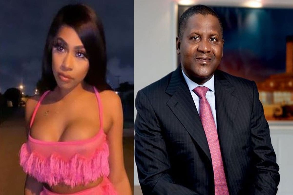 US court fixes Feb 9 to hear Dangote’s petition for gag order against ex lover, Autmn Spikes