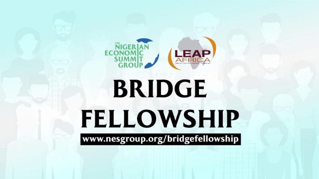 Why you need to be a part of the NESG Bridge Fellowship