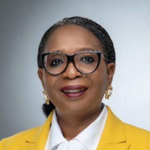 Ibukun Awosika gets her groove back, nabs UK’s G7 impact taskforce appointment with Aruma Oteh