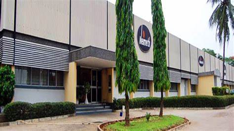 Neimeth pharmaceutical in financial crisis, moves to sell company