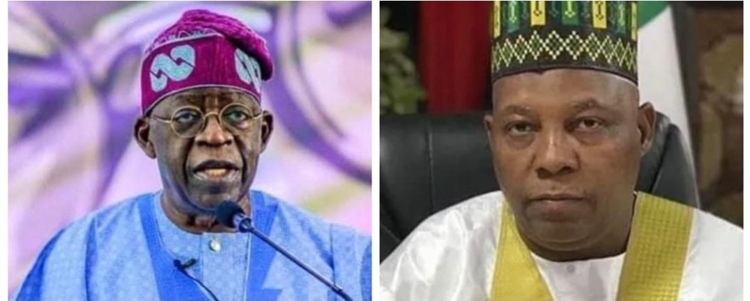 Tinubu picks former Borno governor, Senator Shettima as running mate