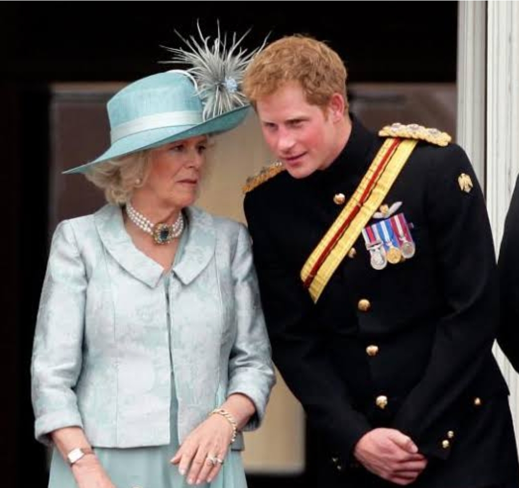 ‘I begged my dad not to marry Camilla,’ Says Prince Harry, labels her dangerous