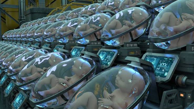 Berlin-based molecular biologist floats first artificial womb facility