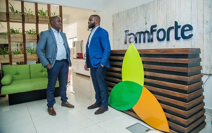 How Farmforte owners, Osazuwa Osayi and Uyi Osayimwense duped Nigerian investors of over N2bn, relocated abroad to live large
