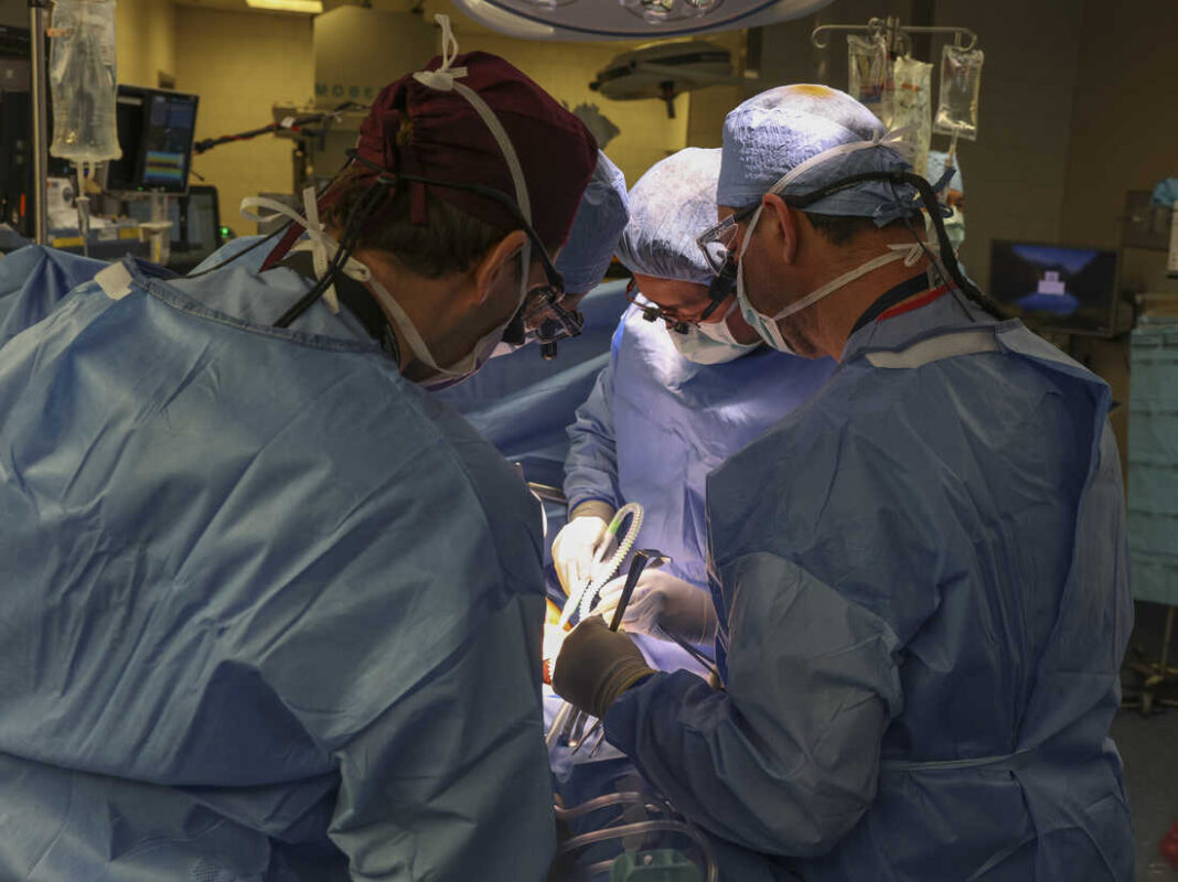 US surgeons perform first-ever pig kidney transplant into patient
