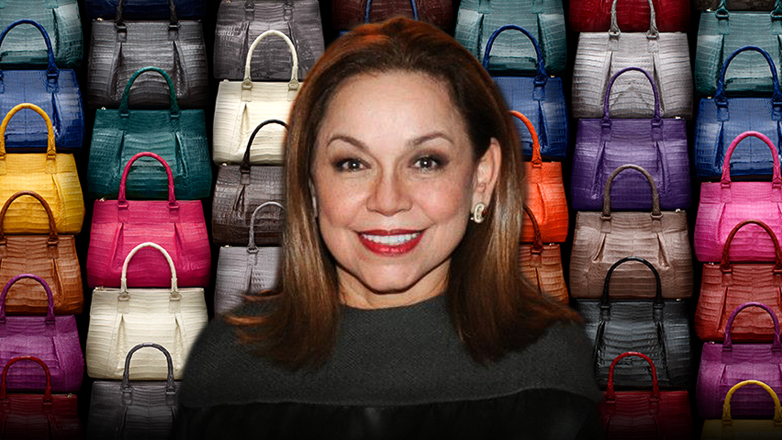 Celebrity bag designer, Nancy Gonzalez bags 18 months jail term in US prison for smuggling crocodile handbags